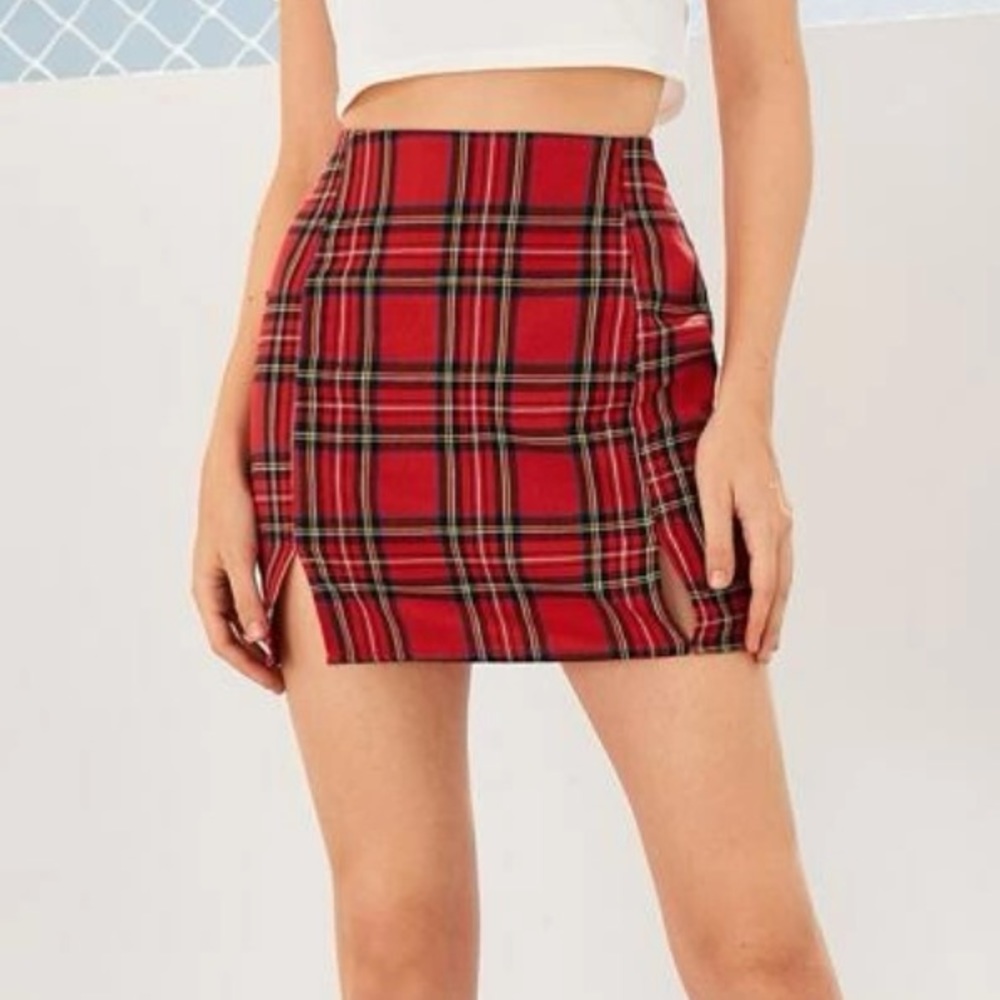 Paid skirt